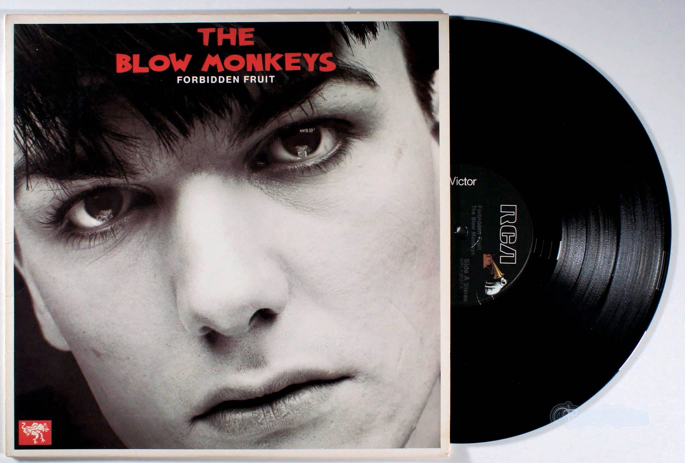 Blow Monkeys - Forbidden Fruit (front cover) Vinyl