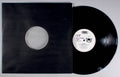 Charley - In the Name of Love (front cover) Vinyl