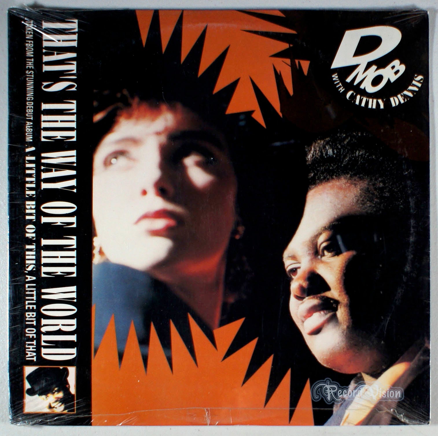 D Mob - The Way of the World (front cover) Vinyl