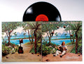 Dave Mason - Split Coconut (front cover) Vinyl