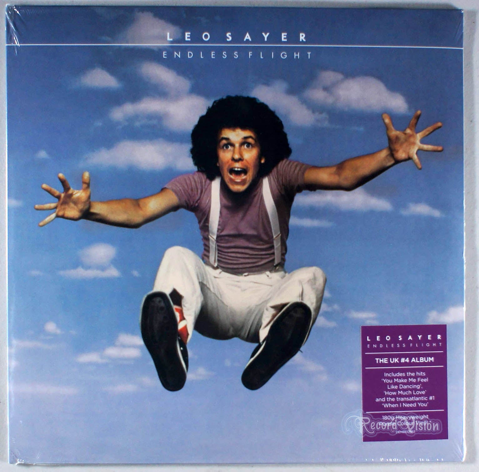 Leo Sayer - Endless Flight (front cover) Vinyl