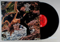 Nashville Strings - Play Great Country Hits, Vol. 2 (front cover) Vinyl